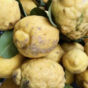Vitamin C – Der Booster für’s Immunsystem